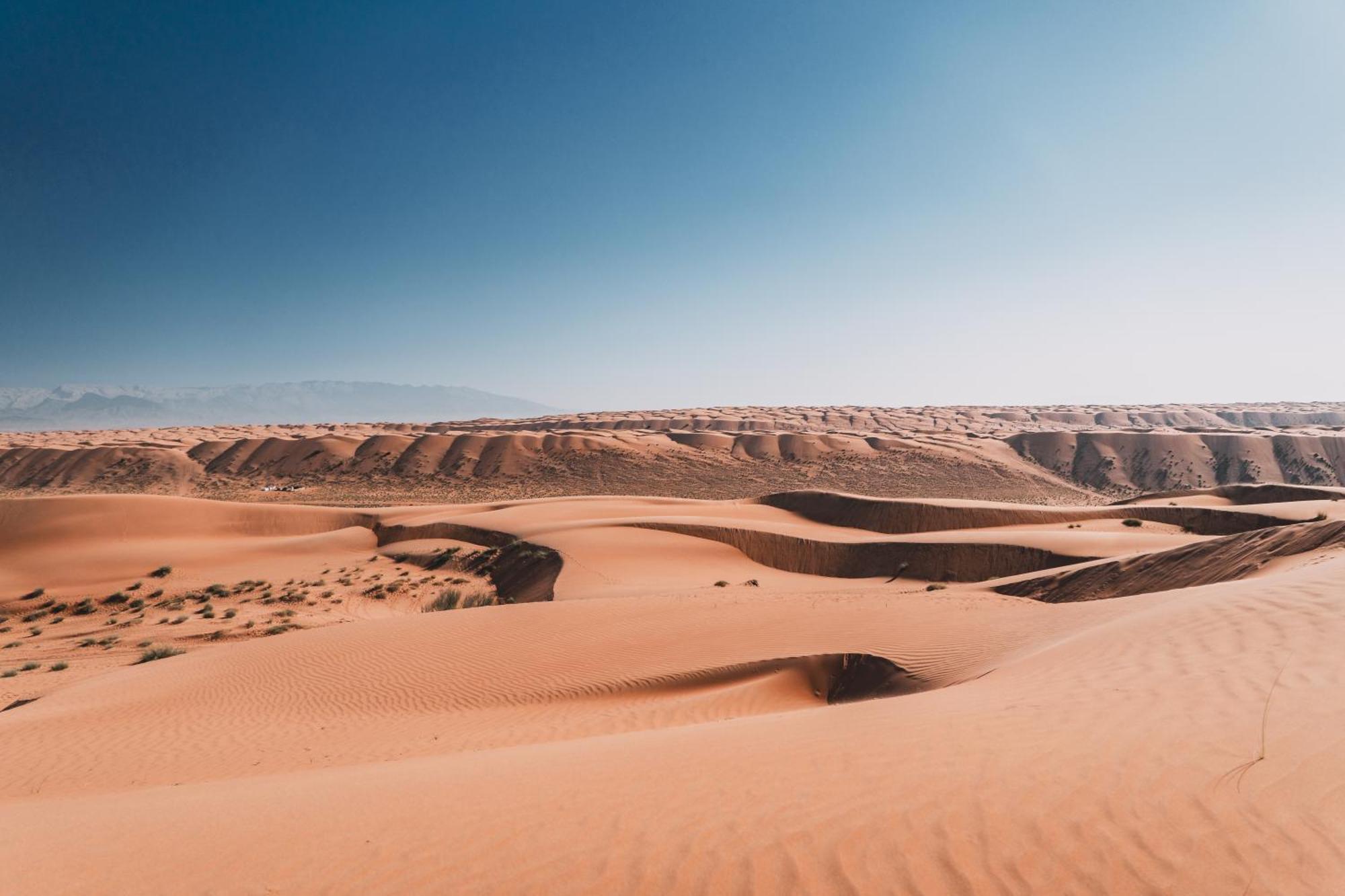 Hamood Desert Private Camp Al Wāşil Exteriér fotografie