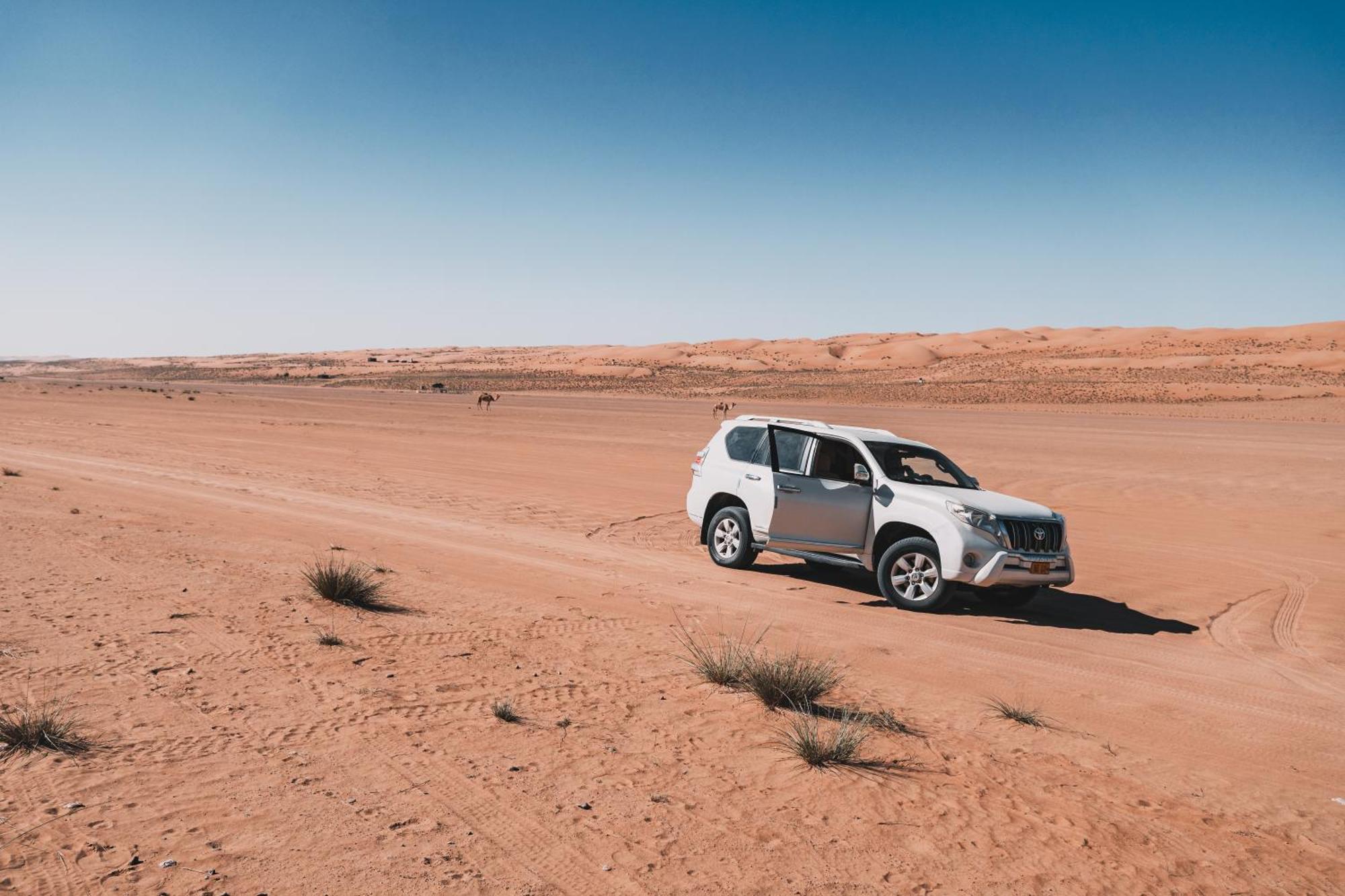 Hamood Desert Private Camp Al Wāşil Exteriér fotografie