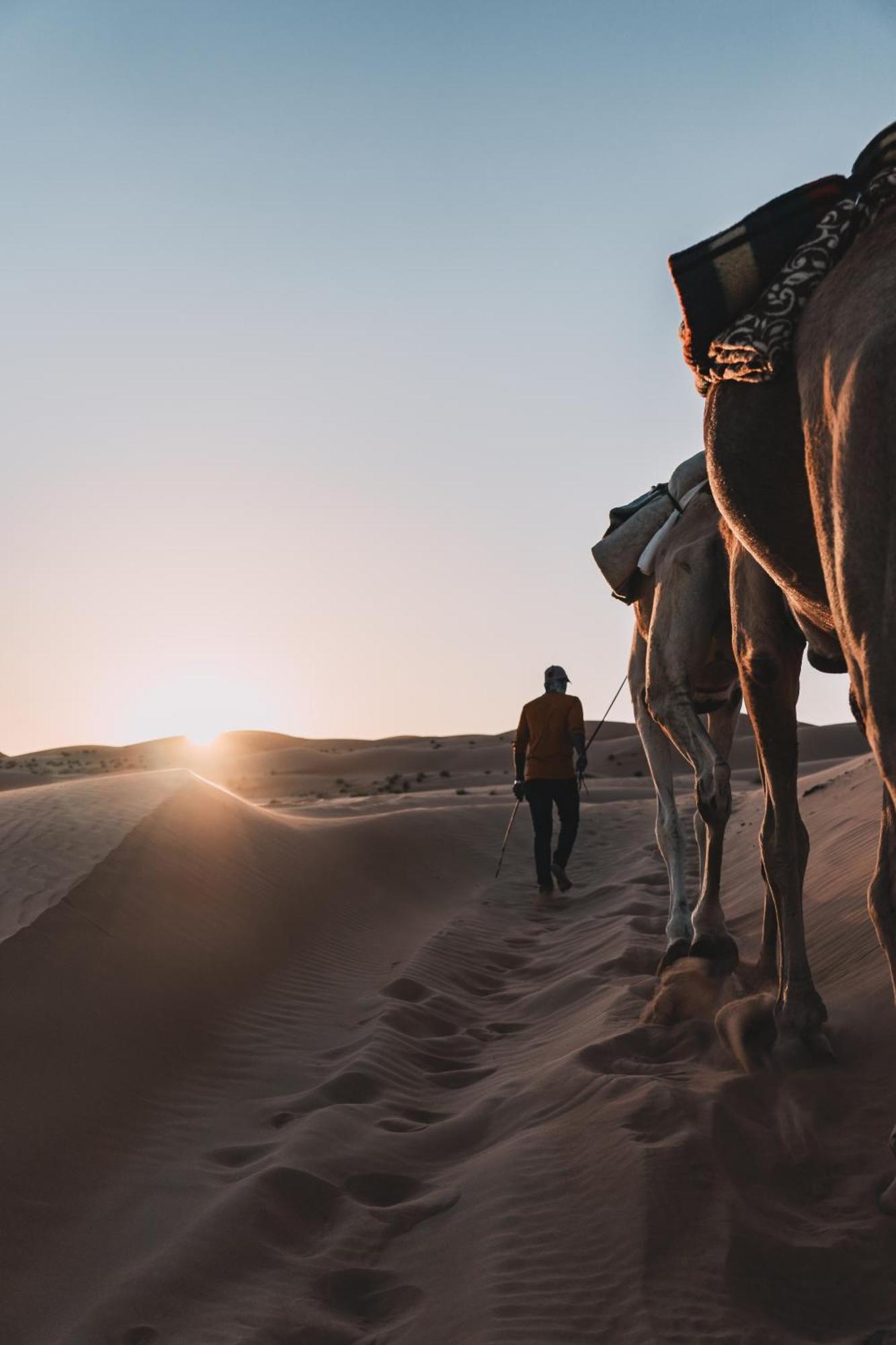 Hamood Desert Private Camp Al Wāşil Exteriér fotografie