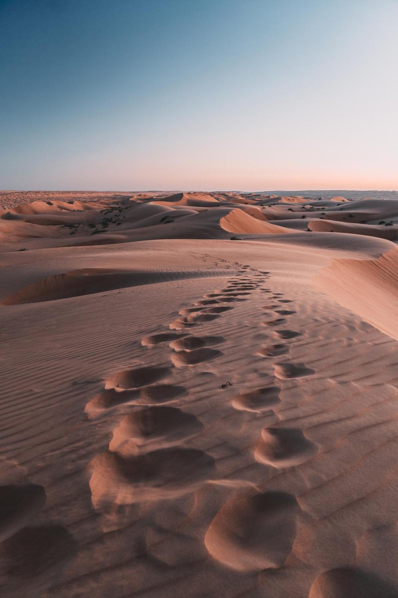Hamood Desert Private Camp Al Wāşil Exteriér fotografie