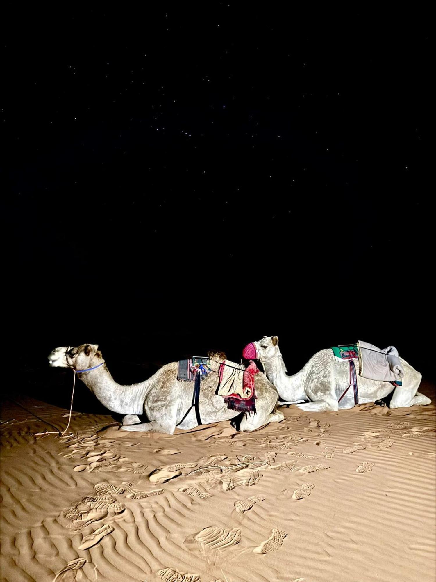 Hamood Desert Private Camp Al Wāşil Exteriér fotografie
